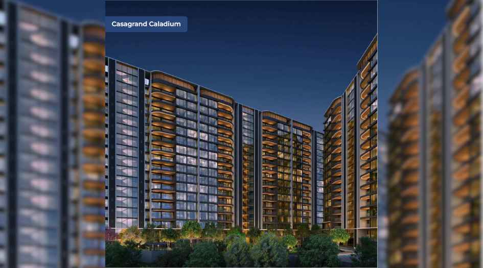 _ Elevation Image